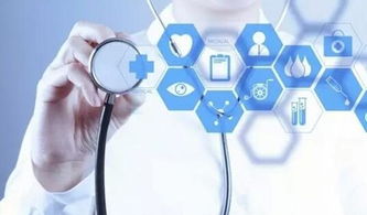 呼市推動互聯網政務服務實現企業全覆蓋，助力經濟高質量發展